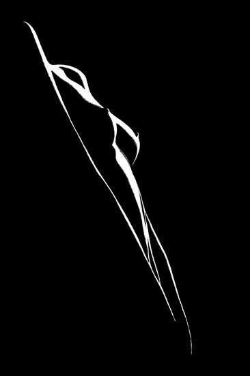 Grafik80 6