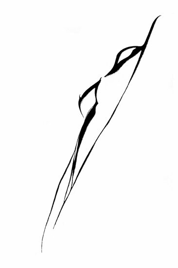 Grafik80 7